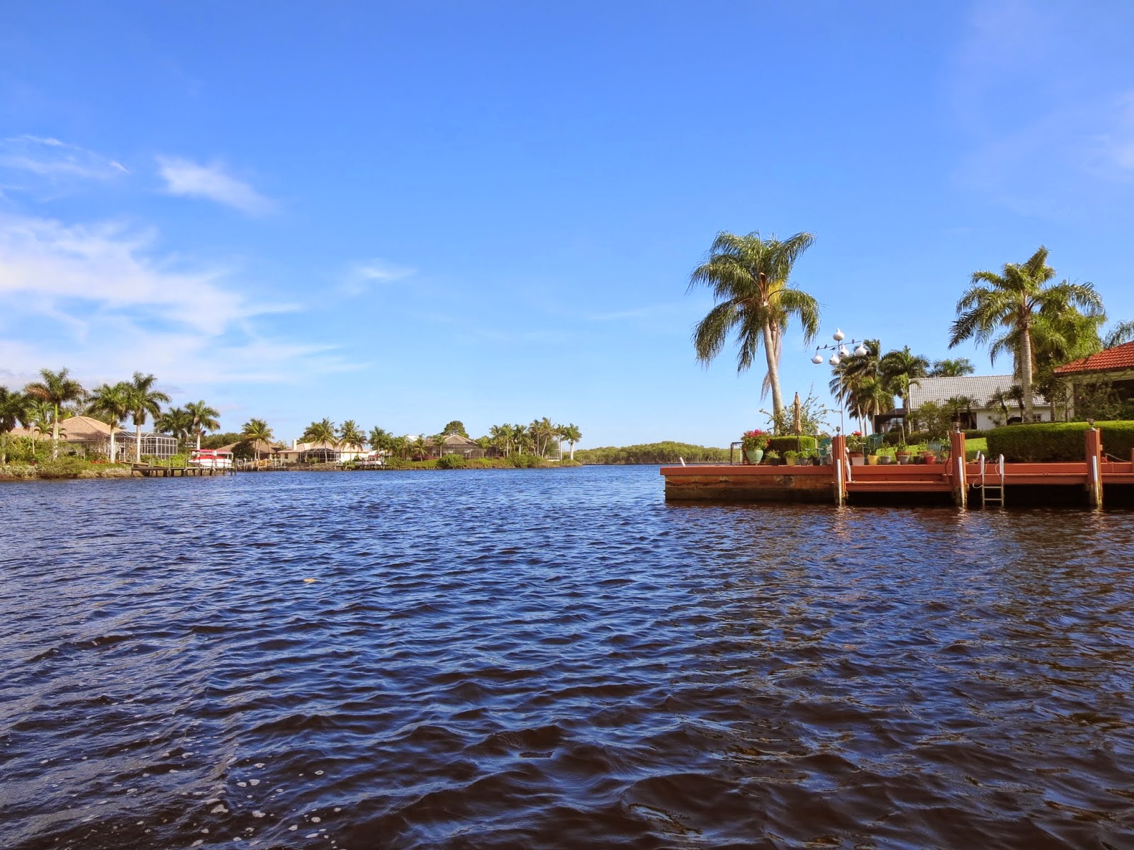 Where to See Manatees in the Florida Everglades on a Naples Day Trip