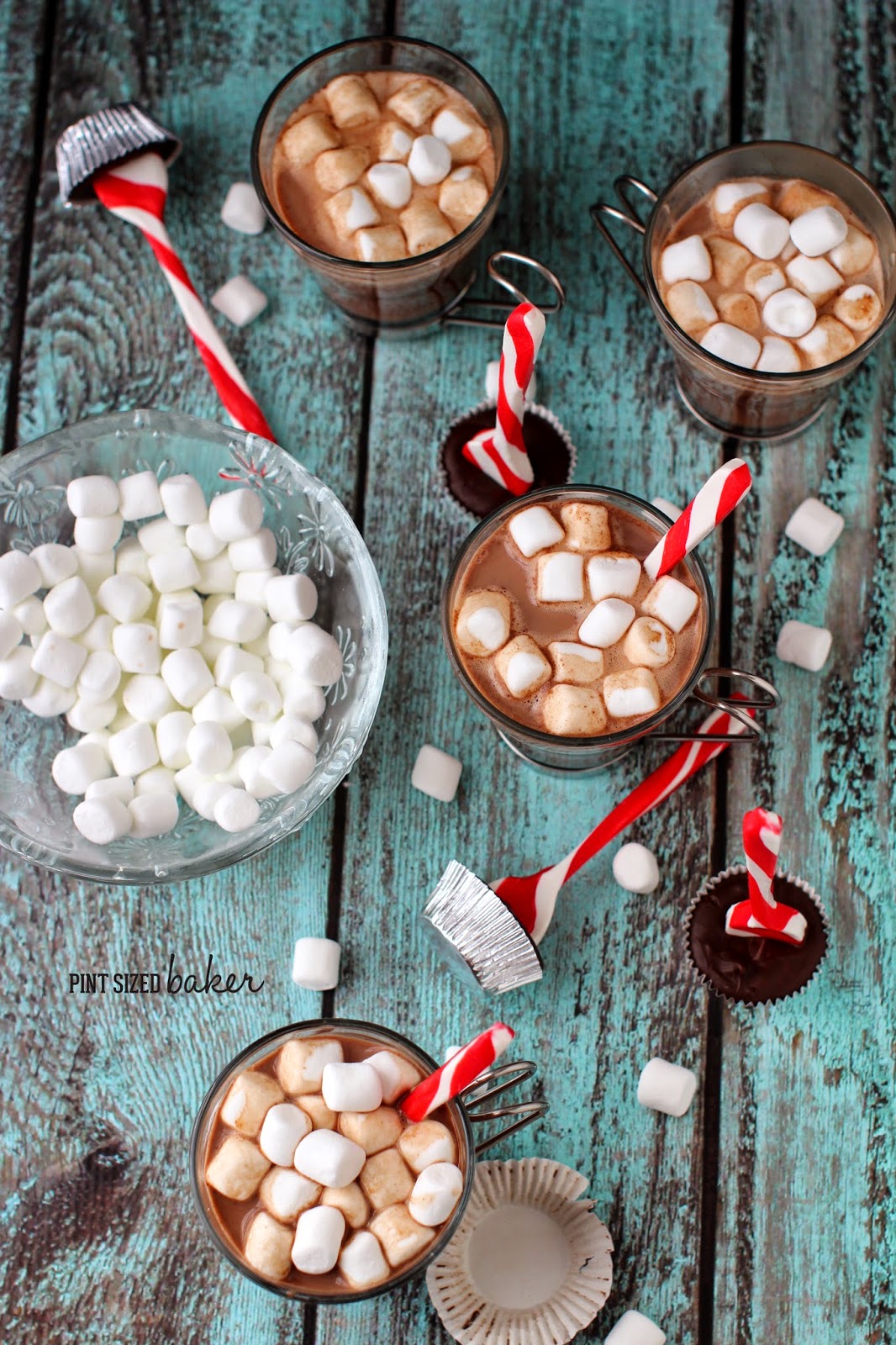 This Stove top Hot Chocolate with Peppermint Dippers taste delicious together! It'll become your favorite drink to come home to after a long day!