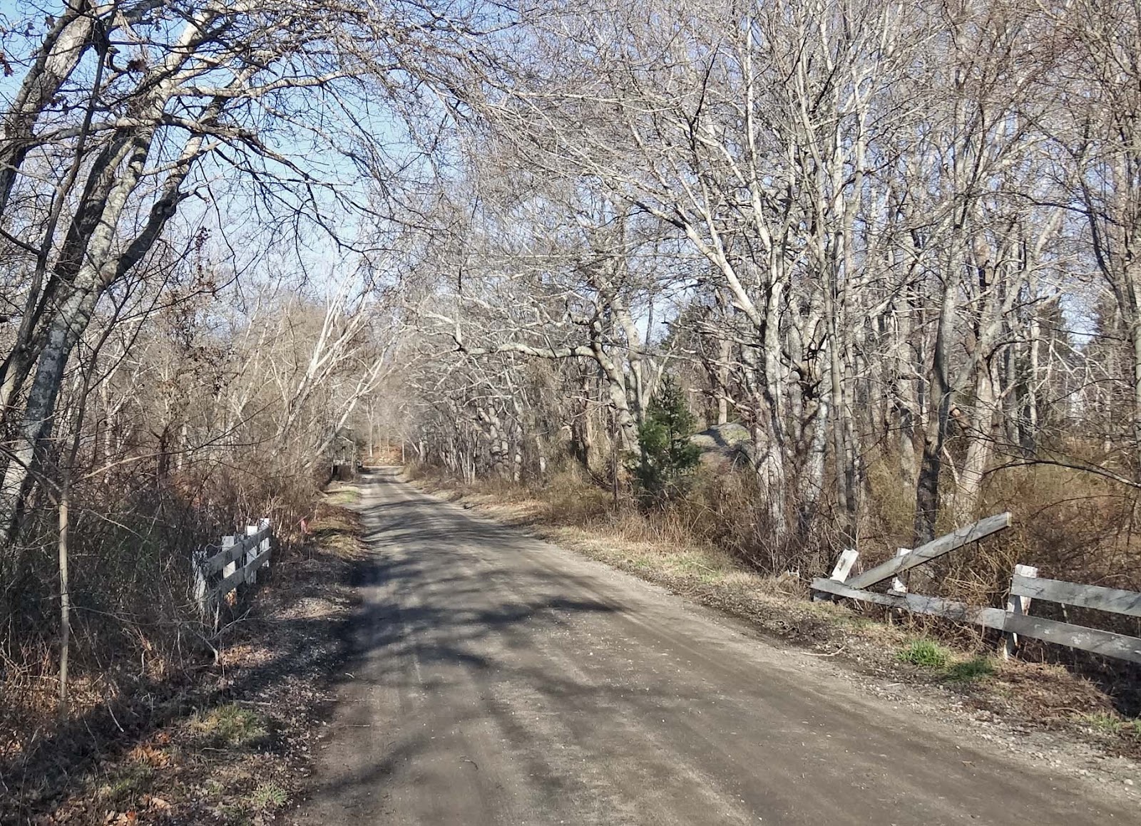 Joe's Retirement Blog Country Lane, White Horse Beach, Plymouth