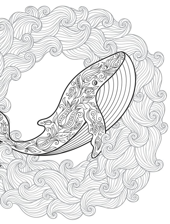 Tranh tô màu cá voi và họa tiết