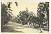 CARDS, OLD PHOTOS / Postais de Castelo de Vide (by www.fontedavila.org - Fotografias Antigas), Castelo de Vide, Portugal