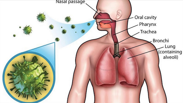 Respiratory upper infection system : Symptoms, causes and treatment Respiratory upper infection system : Symptoms, causes and treatment