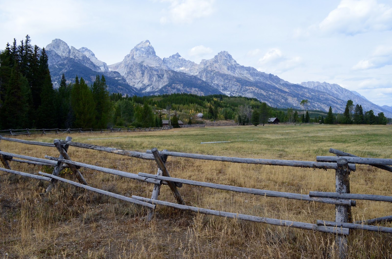 Krutzpack Moving On After AML September 2016