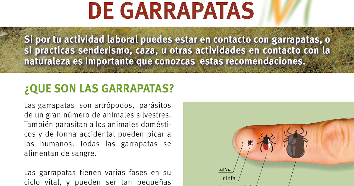 Policía Local de Quesa Prevención de las Picaduras de Garrapatas y Actuación en caso de Policía Local de Quesa Prevención de las Picaduras de Garrapatas y Actuación en caso de