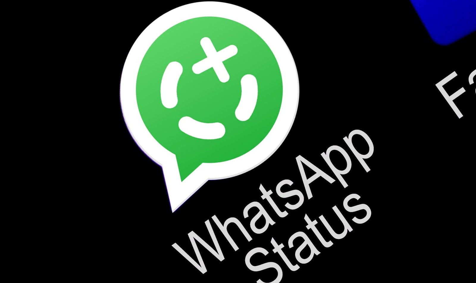 Cara Mengambil Video dan Foto  Dari Status  WhatsApp WA  
