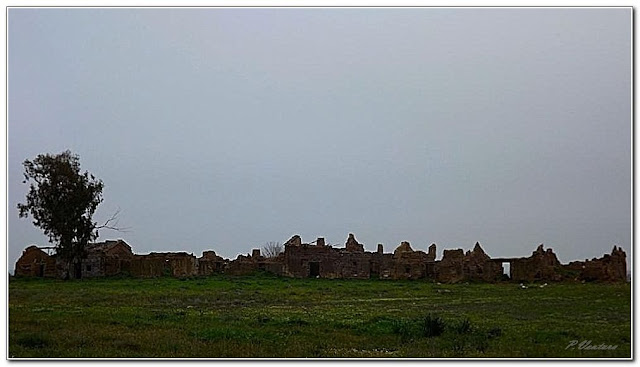 Temps Viscuts: Aldea de Barro