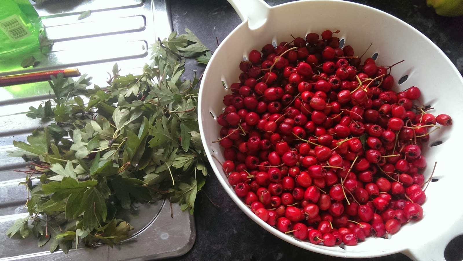 Hawthorn fruit leather