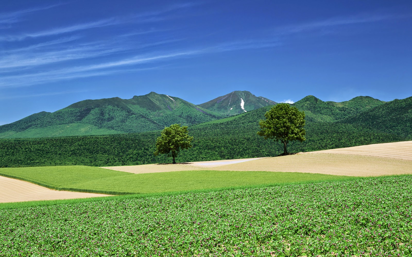 25張美麗的夏日北海道風光風景桌布下載！(Hokkaido Desktop Wallpaper Download)