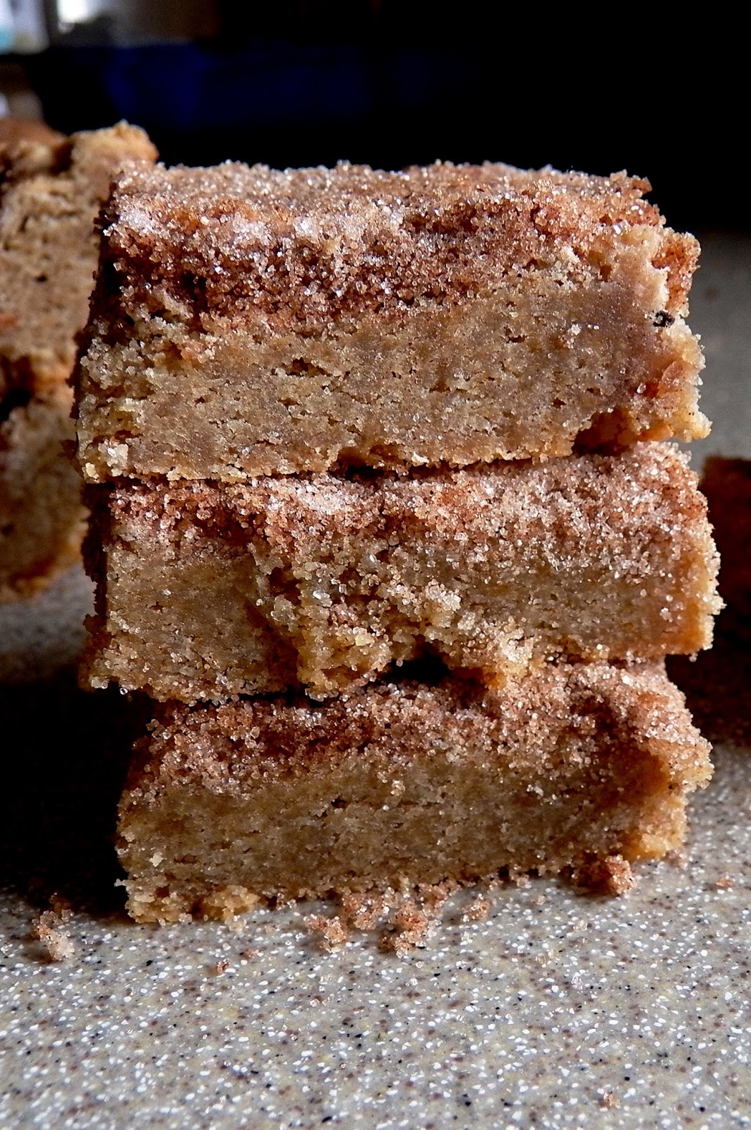 The Tasty Cheapskate Snickerdoodle Bars