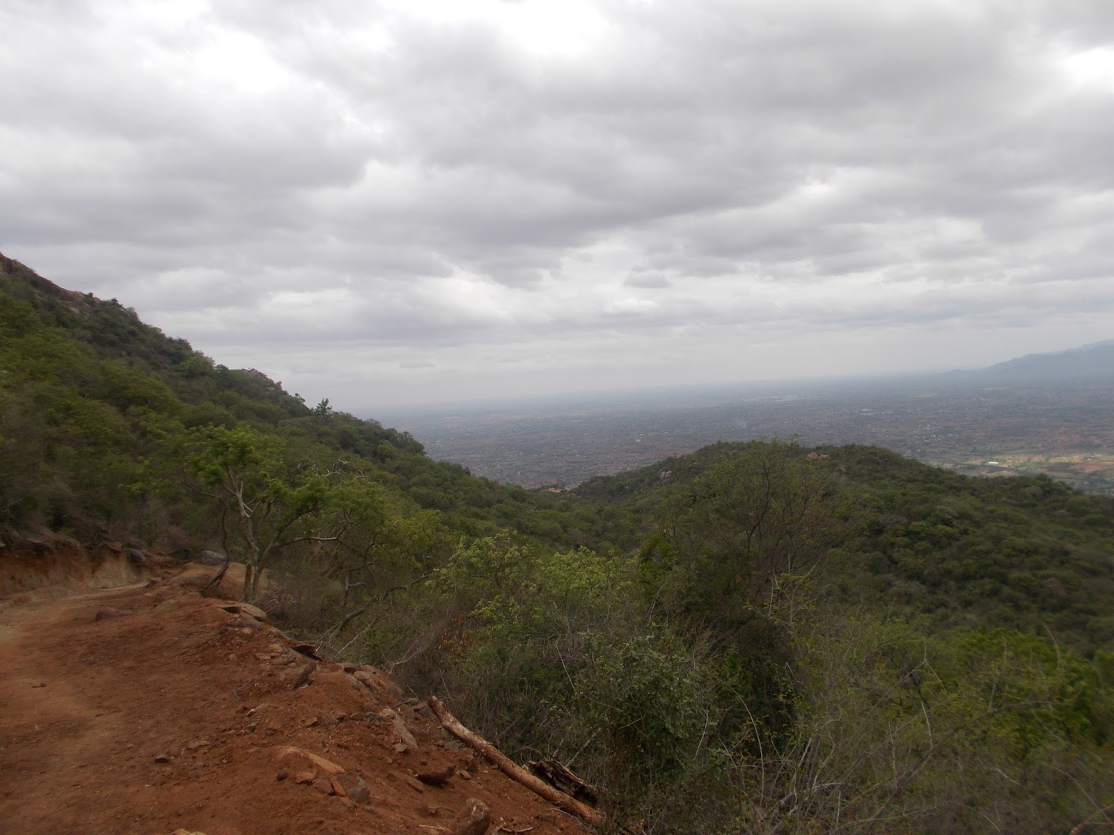 Mohan Kandasamy: Trekking at Palamalai (Siddheswarar malai ...
