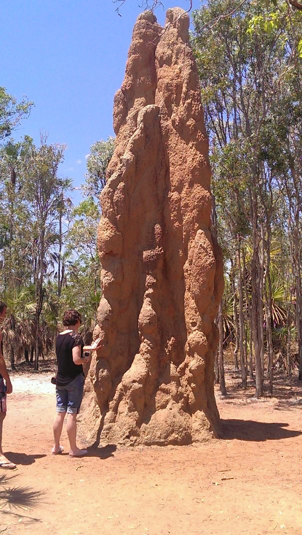 30 Photos That Show Australia Is The Land Of ‘Nope’