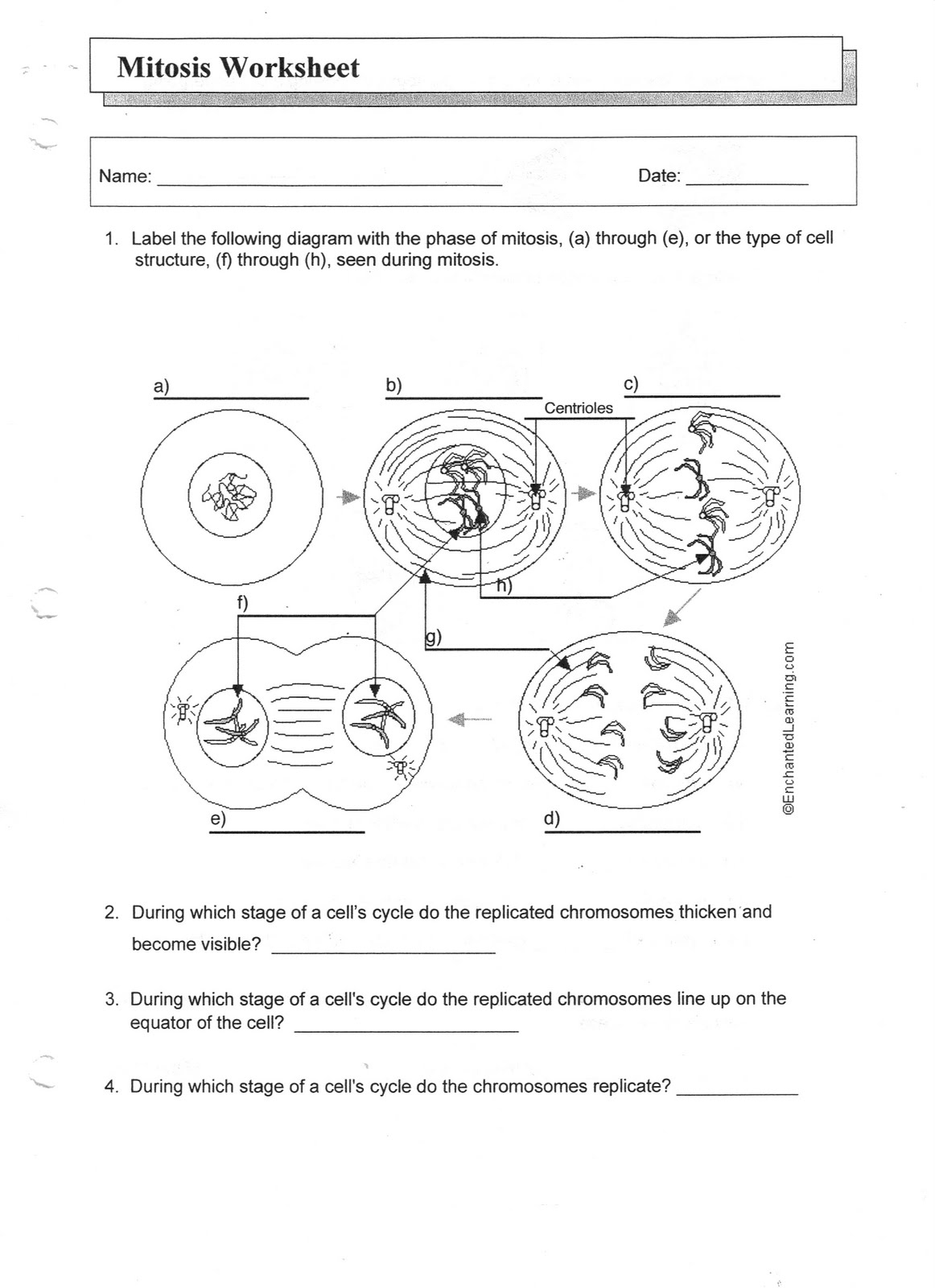 Mitosis Worksheet Answers With Regard To Meiosis Worksheet Vocabulary Answers