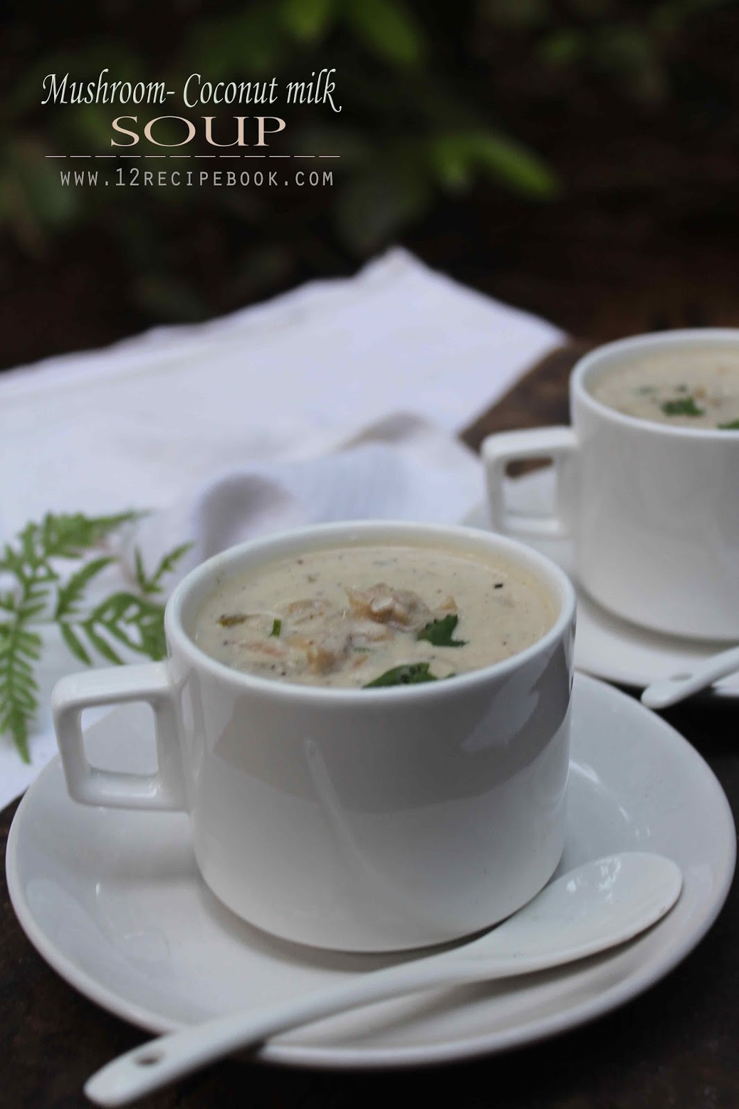 Mushroom Coconut milk Soup Recipe Book
