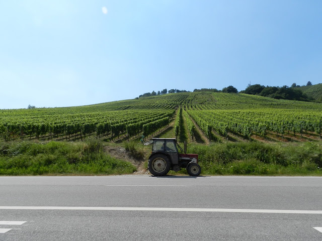 Parreiras Riesling Parreiras Riesling