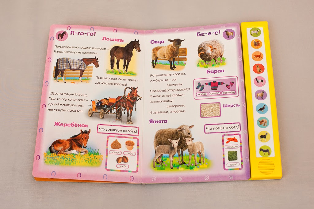 Книга как говорят животные со звуками. Мои первые знания. Создать говорящую книгу. Создать говорящую книгу. Говорящая книга для слепых детей.