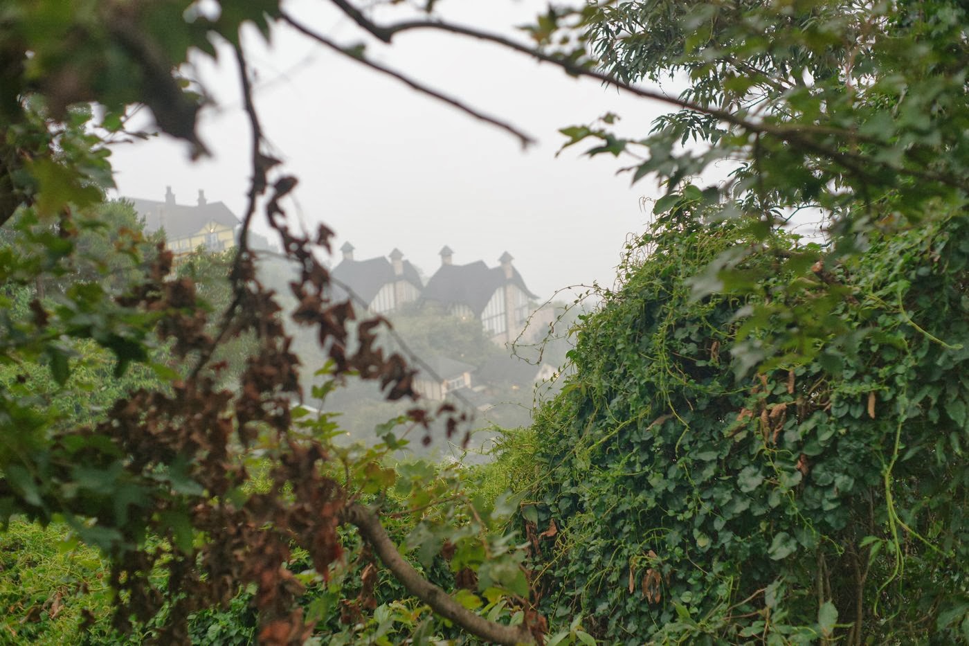 Das Taiwan Formosa Blog 2013