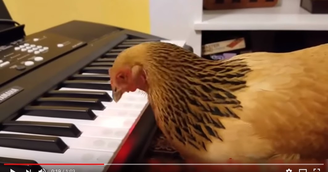 EL Blog de Música del Cole Gallina tocando el piano