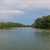 Yucatán 2016: Reserva Ría Lagartos.