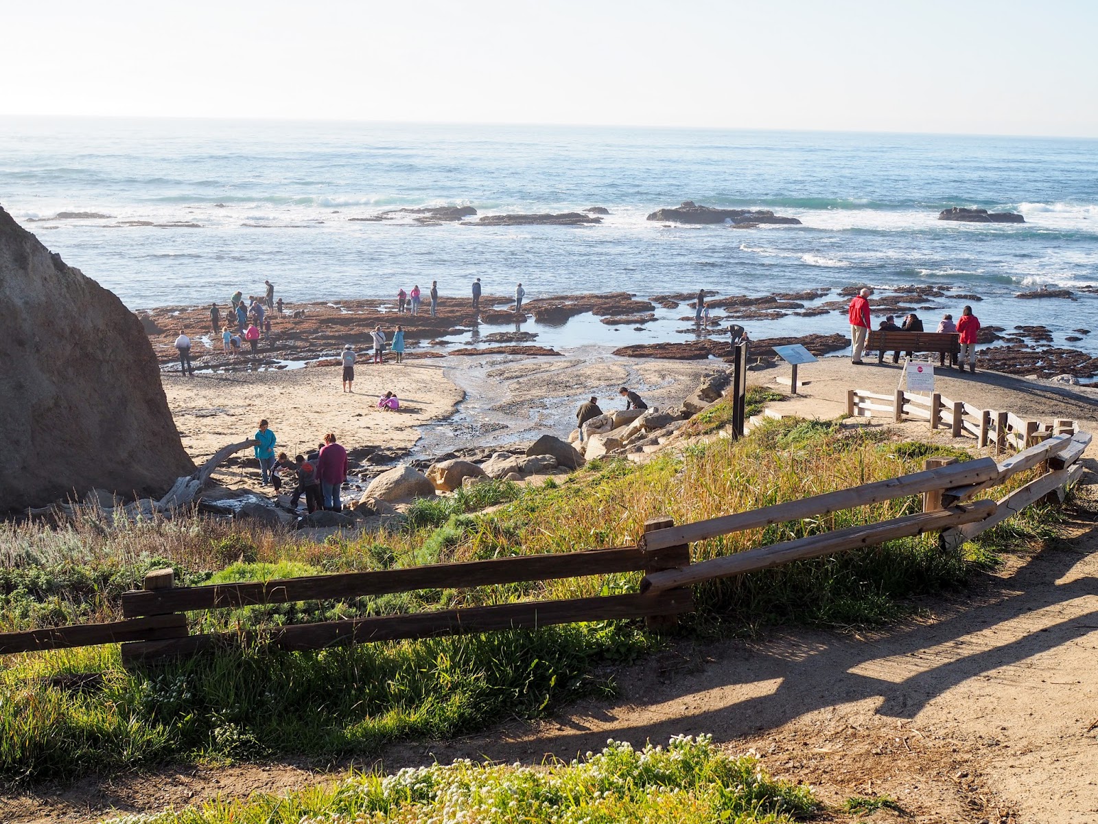 Little Hiccups Fitzgerald Marine Reserve