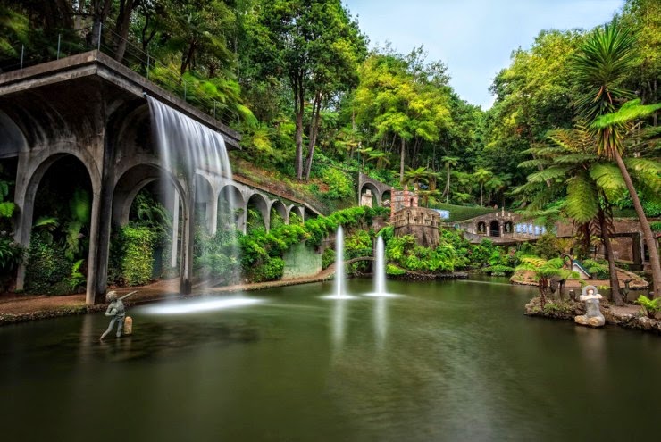 The Most Beautiful Botanical Gardens in Madeira