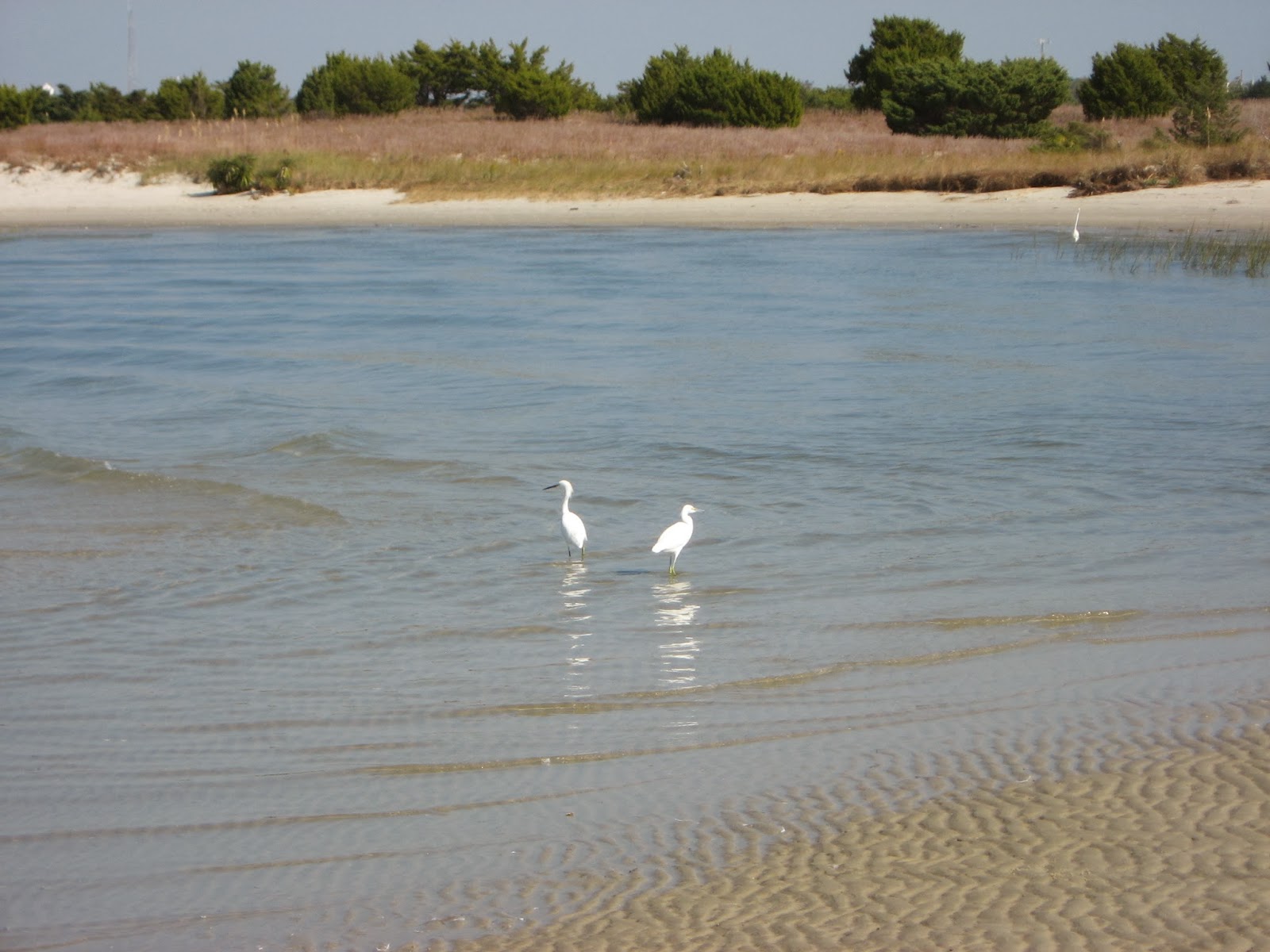 Léane 1 Vers la Caroline du sud