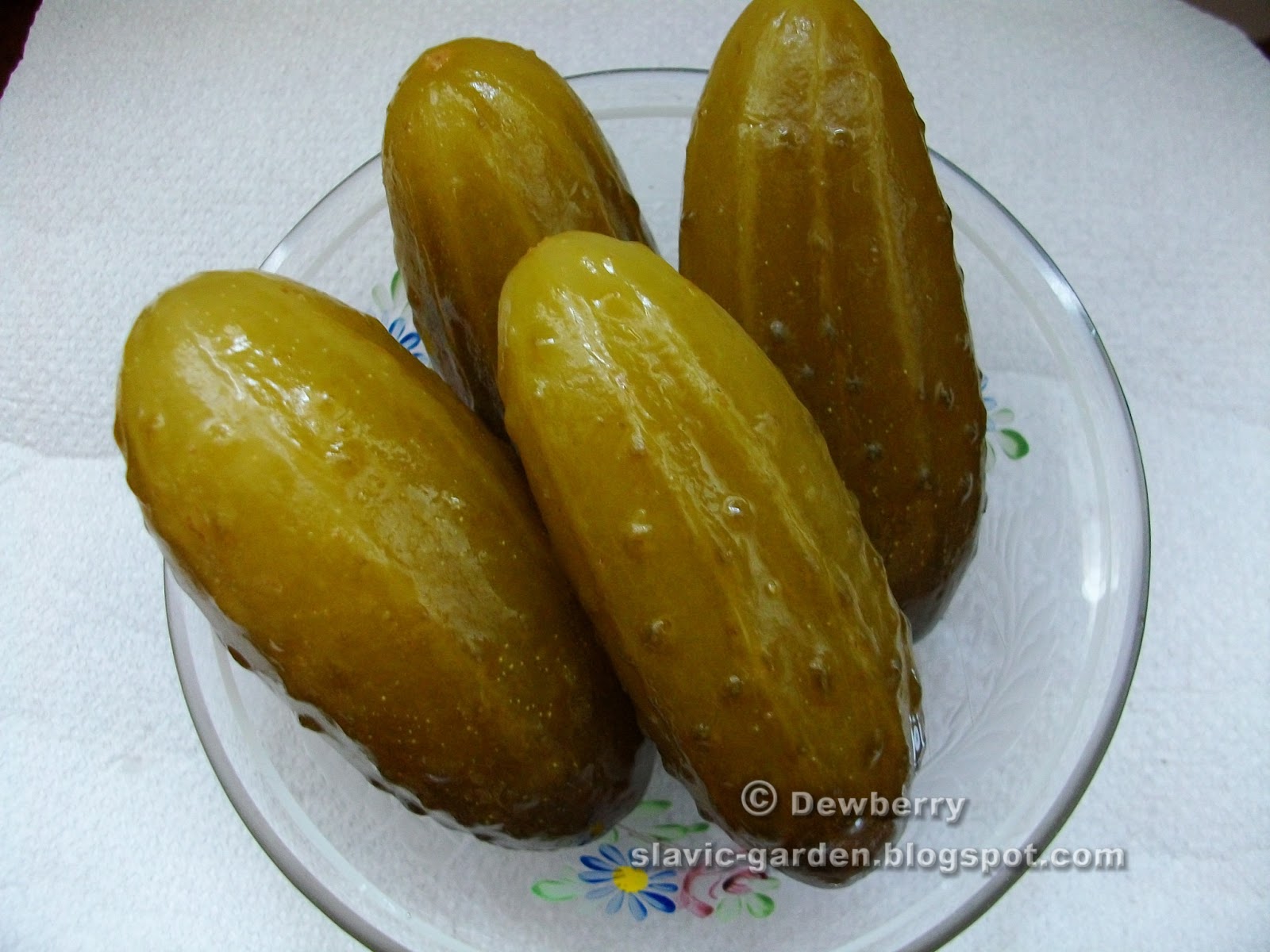 Slavic Garden Słowiański Ogród Polish 'sour cucumber soup' // Polska