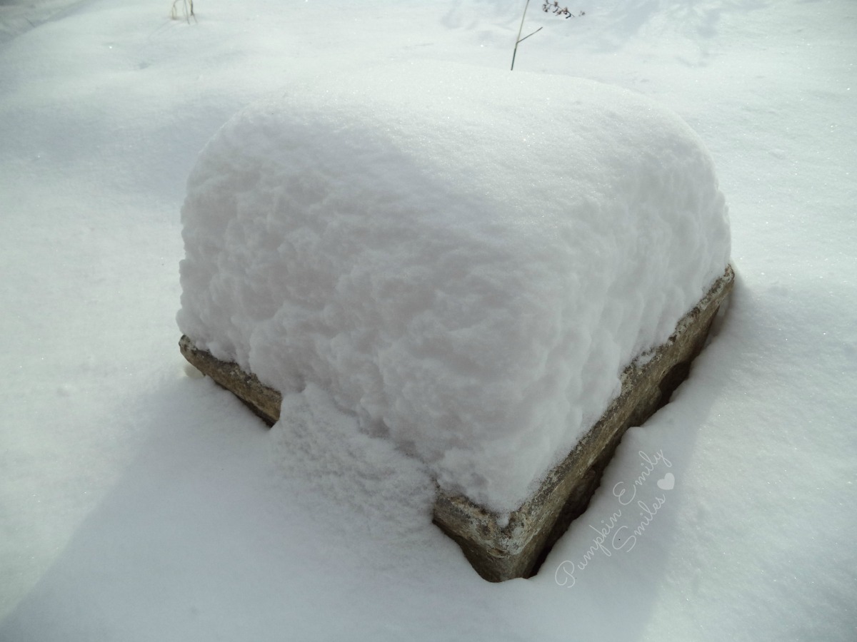 Snow