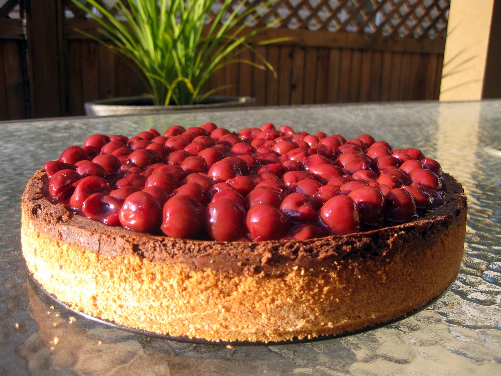 Food for Thought Chocolate Truffle Cheesecake with Sour Cherry Glaze