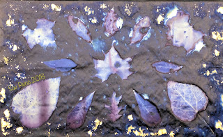 Wet cyanotype_Sue Reno_Image 549