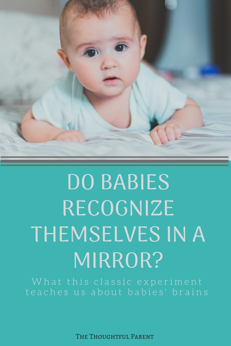 Child Psychology Classics The Mirror Test • The Thoughtful Parent