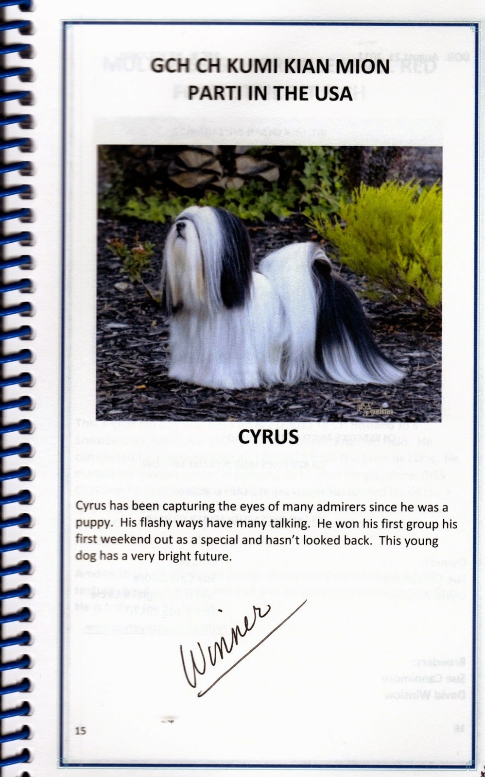 Lhasa Apso Blog Part II American Lhasa Apso Club National Specialty