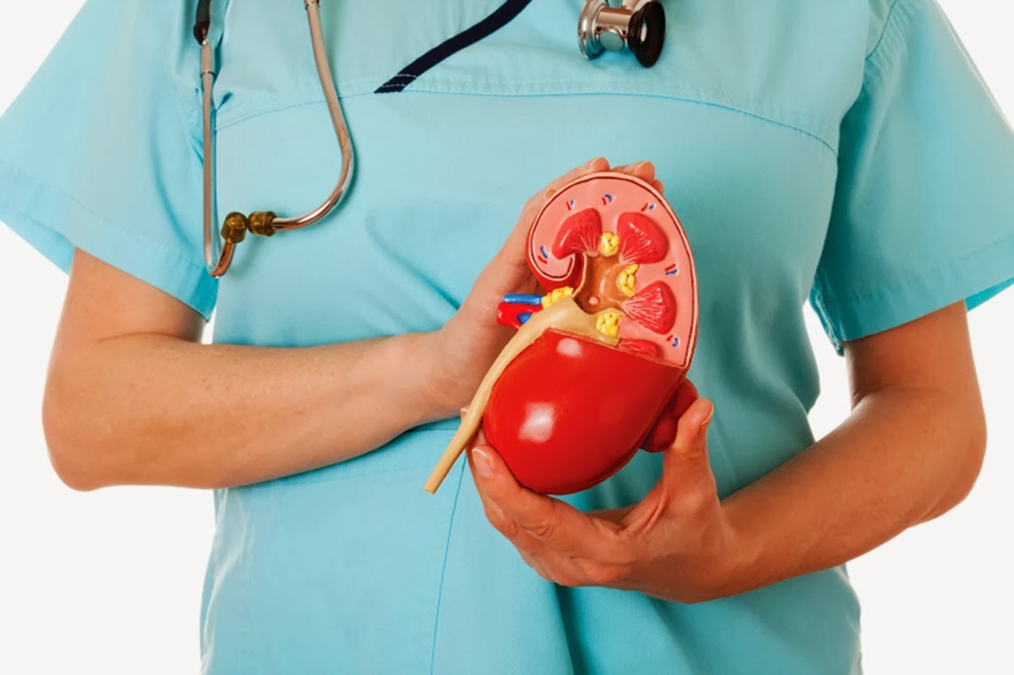 Cancer Treatments India Cancer Hospital India Cancer Healer Center