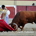 Corrida Mista em Vila Franca: "Um diamante em bruto mas é português..."