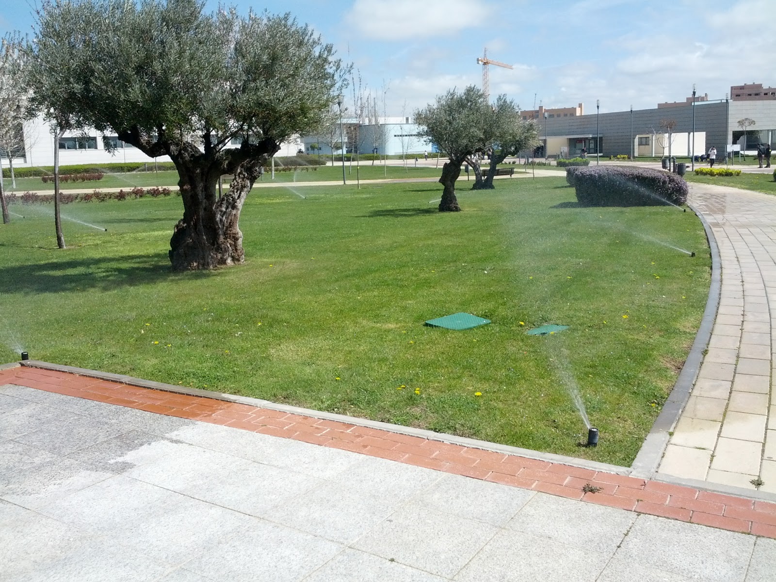 AulaSurURJC: La URJC enciende los aspersores pese a un otoño de lluvias