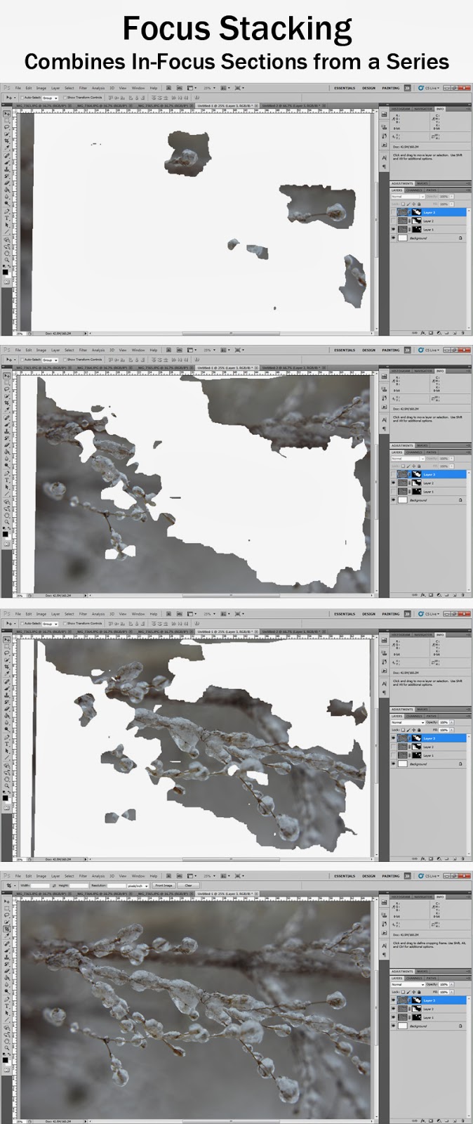 Focus Stacking Combines In-Focus Sections from a Series of Photographs | Boost Your Photography