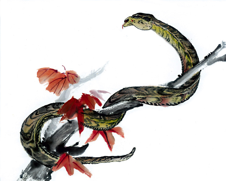 Рыба змея совместимость. Змея китайская живопись. Змеи в китайской живописи. Китайская змея. Змея в китайской культуре.