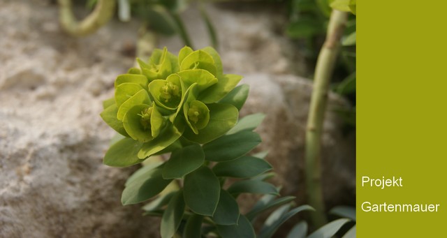 Filz Und Garten Gartenblog April 2013