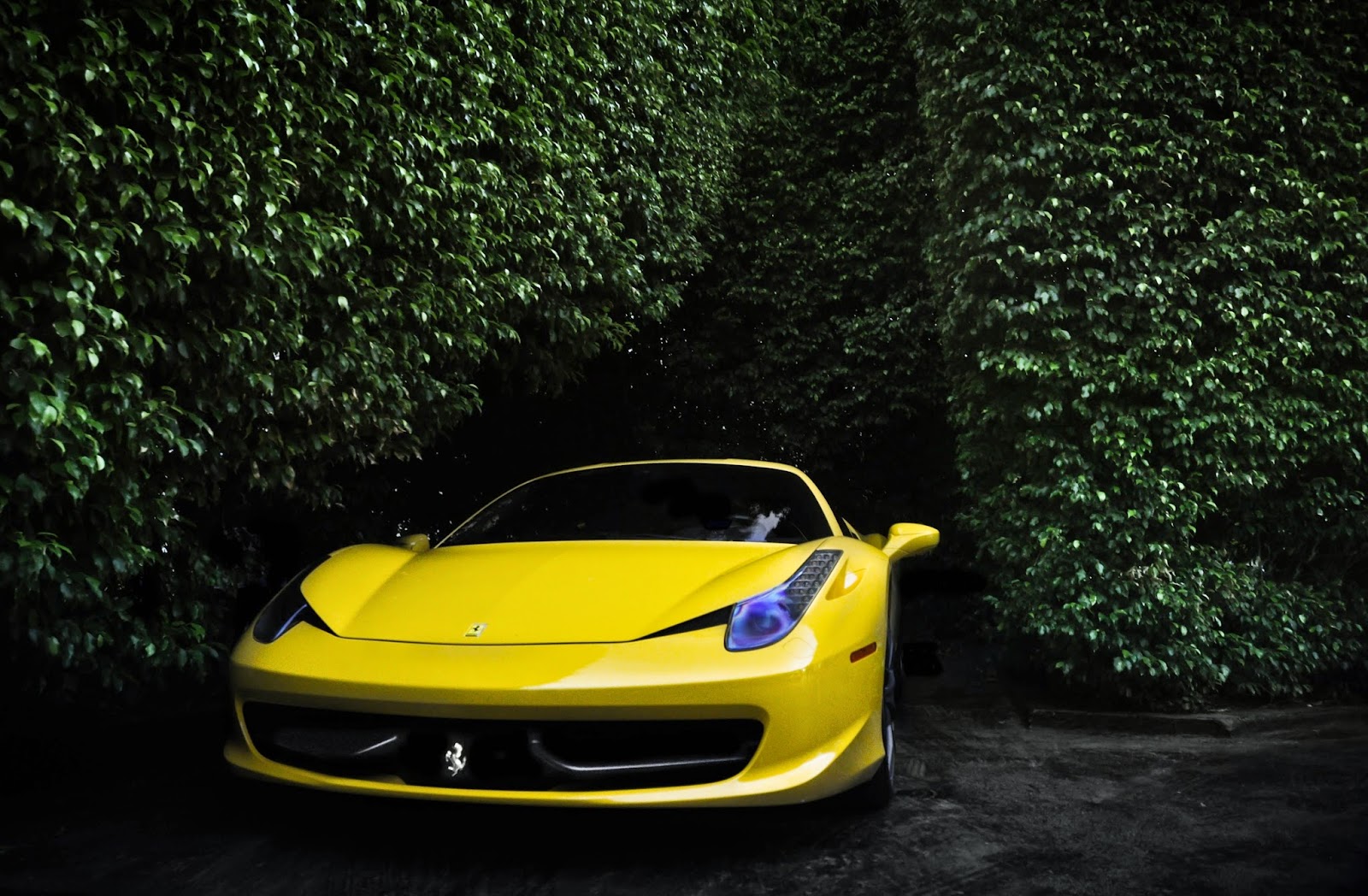 15+ Hình Nền Siêu Xe Ferrari Đẹp Cho Máy Tính