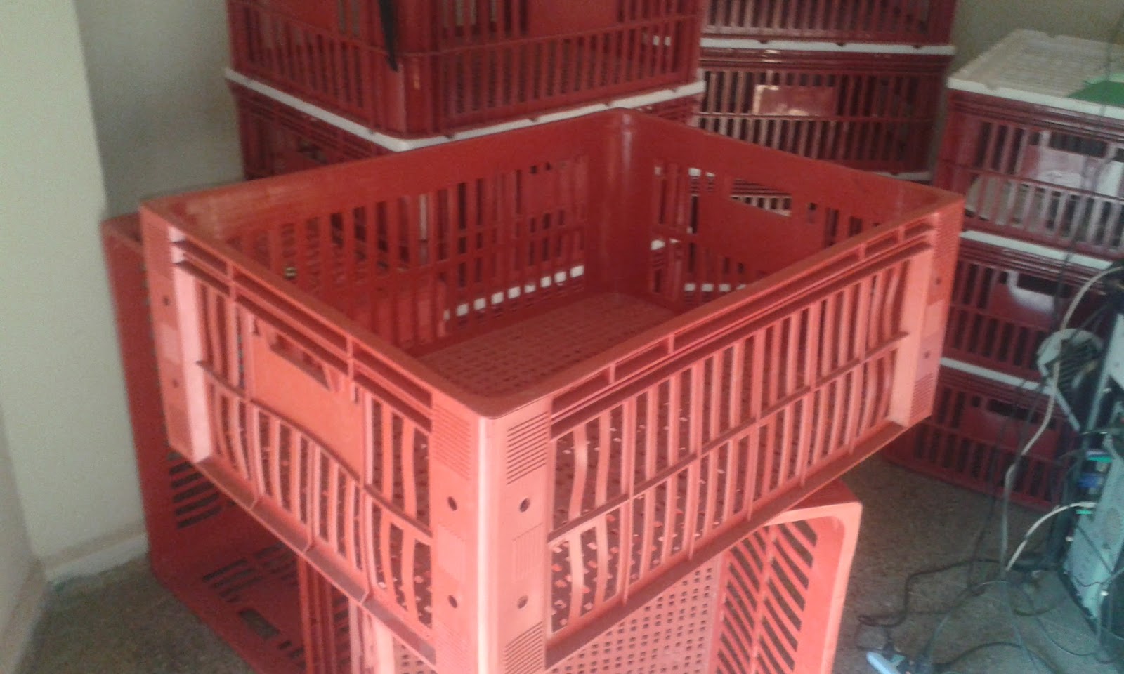 VENTA DE CAJAS PARA POLLO VIVO Y MULTIUSO CAJA DE MULTIUSO