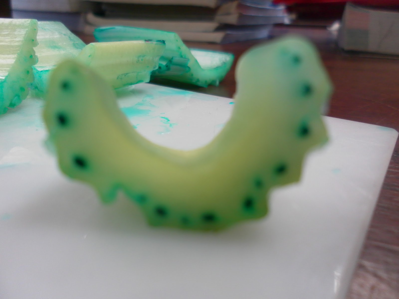 Xylem In A Celery Stalk