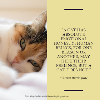 Hemingway on cats