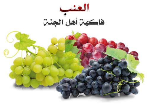 فوائد العنب العنب فاكهة أهل الجنة ودواء أهل الأرض