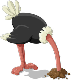 Another ostrich hiding their head in the sand