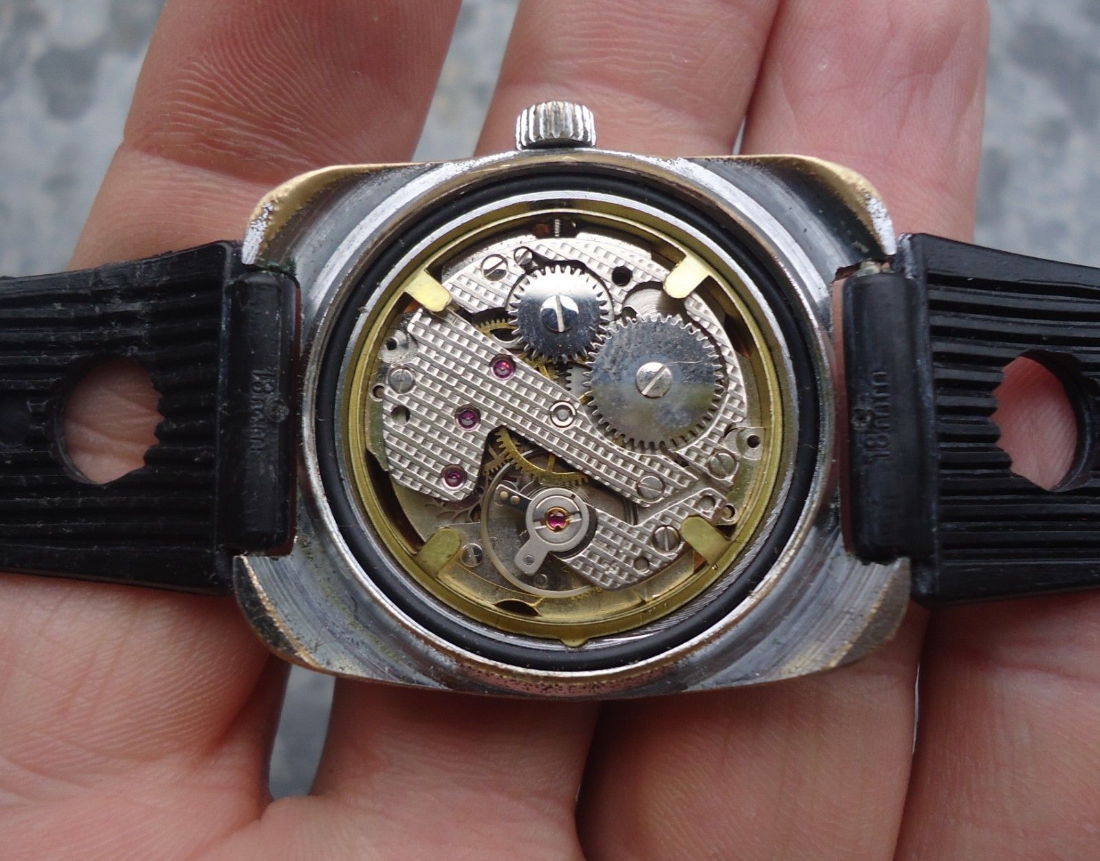 Regin's Realm Pallas Eppo manual wind vintage watch