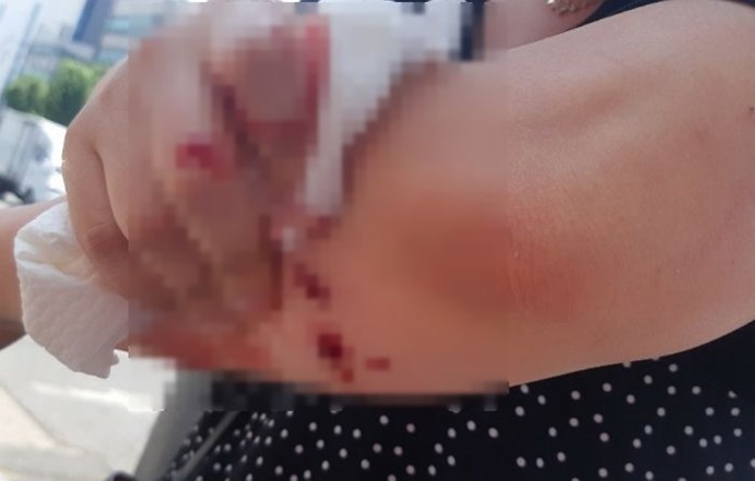 이미지에 대체텍스트 속성이 없습니다; 파일명은 65x8129680kdf355mr48.jpg 입니다.