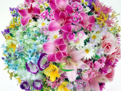 desktop flowers wallpapers flower colorful backgrounds background pretty bouquet bouquets