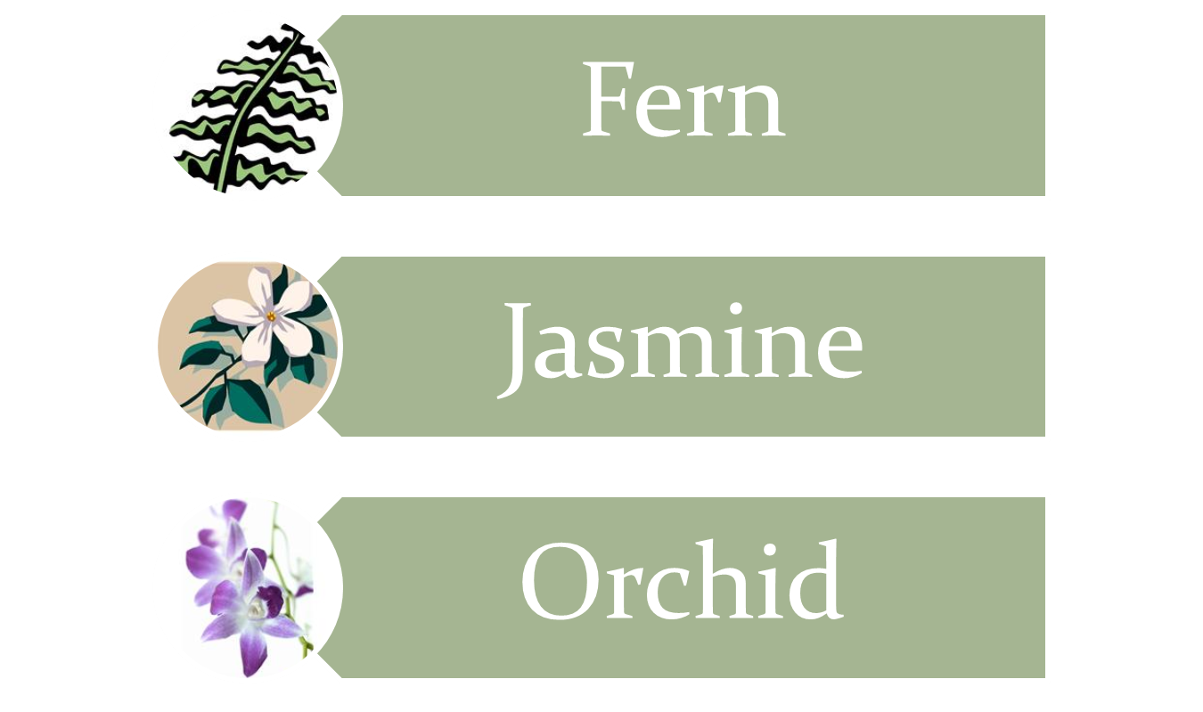 Science Examples Of Soft Stem Plants Science Examples Of Soft Stem Plants