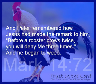 rooster peter jesus times crows september before three resurrection bible seeking choose board