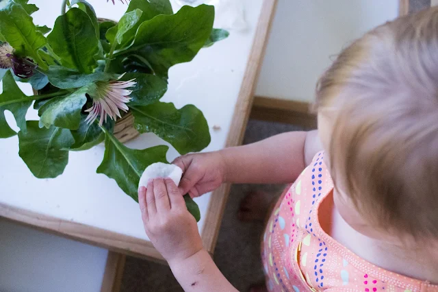 Children love to take care of their environment and one easy way to do that is to add a plant to your child's space. Plant care in a Montessori home can be an easy way to incorporate practical skills into your child's day. 