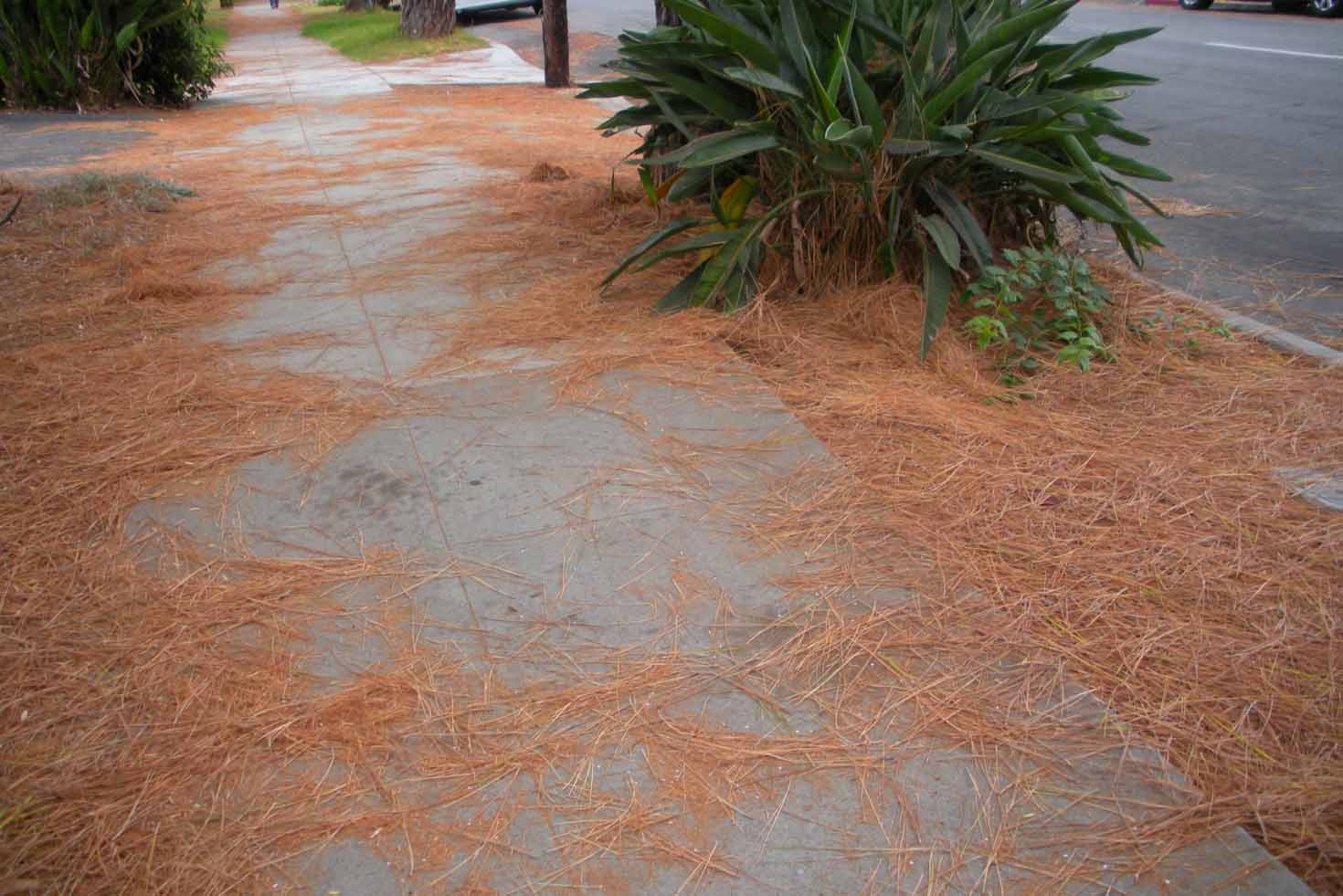 Photo Essays Toxic Urban Landscapes Air Pollution Climate Change